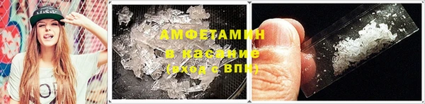 индика Алзамай