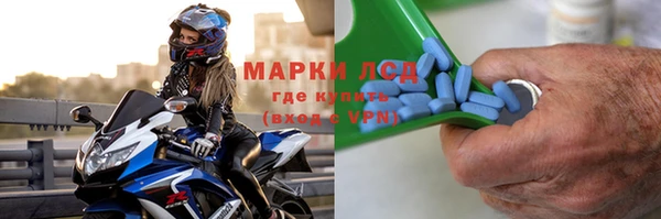 индика Алзамай
