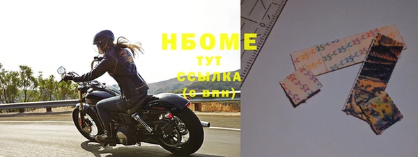 индика Алзамай