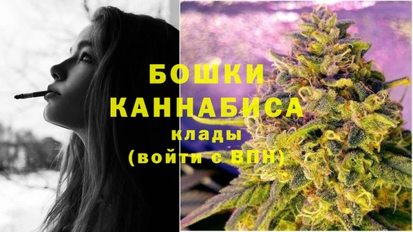 индика Алзамай